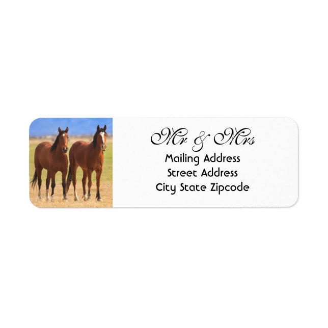 Mr and Mrs Horse Return Address (Front)