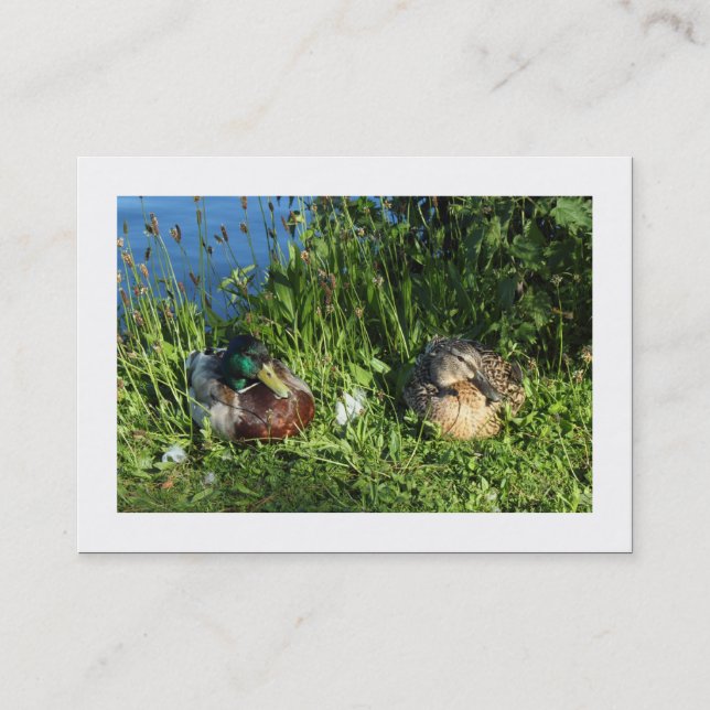 Mr and Mrs Mallard (Bordered) Business Card (Front)