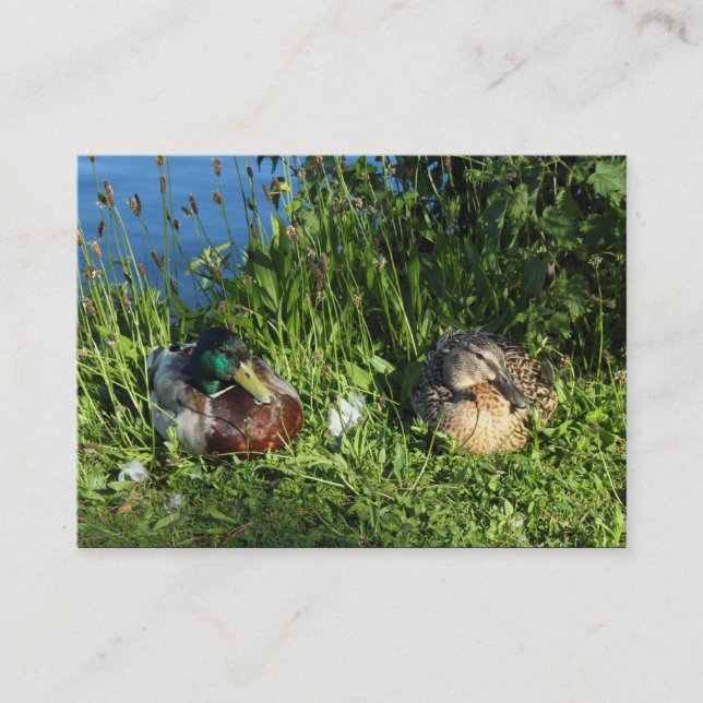 Mr and Mrs Mallard Business Card (Front)