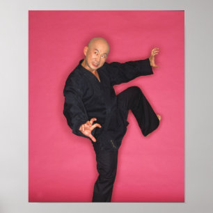 Mr. Banzai Poster