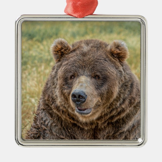 Mr. Bear Metal Tree Decoration (Front)