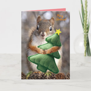 Mr. Bickles The Squirrel 5 x 7" Christmas card