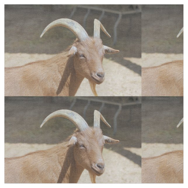 Mr.Bill Fabric (Close Up)