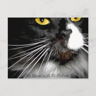 "Mr.Bootee" Postcard
