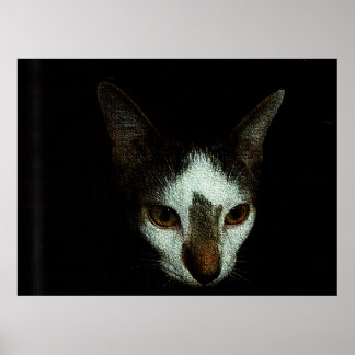 Mr. Bud in Repose Poster