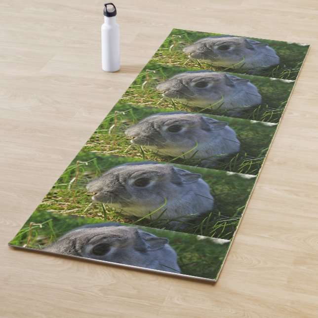 Mr. Bunny's Close Up Yoga Mat (In Situ)