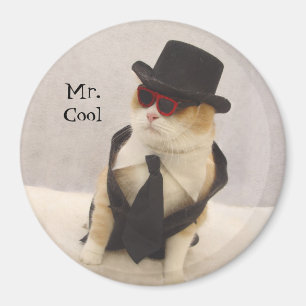 Mr. Cool Magnet