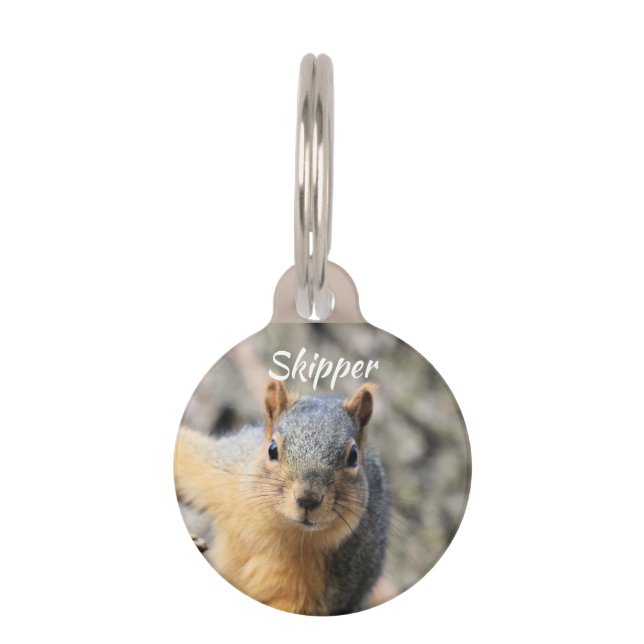 Mr.Cutie Pet Tag (Front)