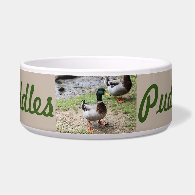 Mr. Duck (Front)