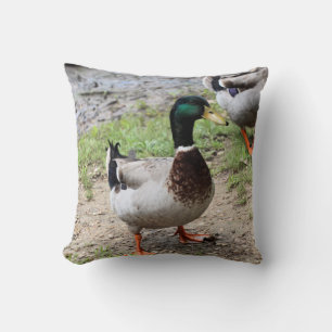 Mr. Duck Cushion