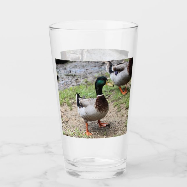 Mr. Duck Glass (Front)