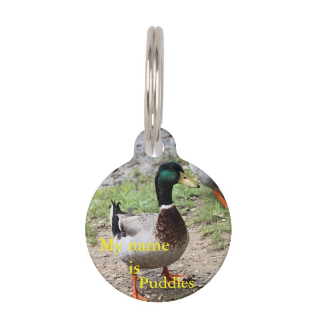 Mr. Duck Pet Tag (Front)