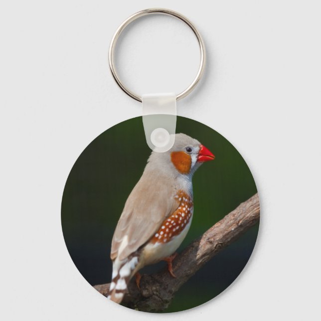 Mr Finch Keyring (Front)