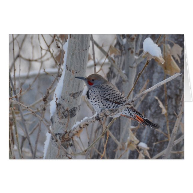 Mr. Flicker (Front Horizontal)