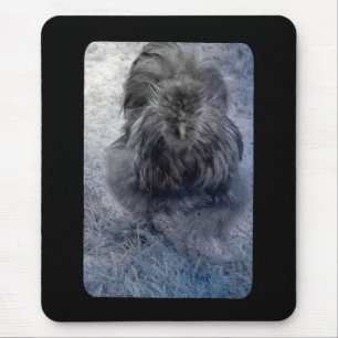 Mr Fluffy Silkie Rooster 2 Mouse Pad