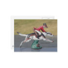 Mr. Fox Cross-Country