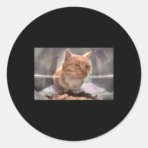 Mr Fresh Cat Meme Side Eye Cat Classic Round Sticker