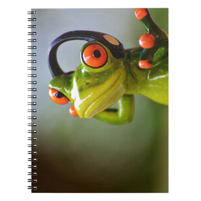 Mr. Frog with Headphones Spiral Notebook (Front)