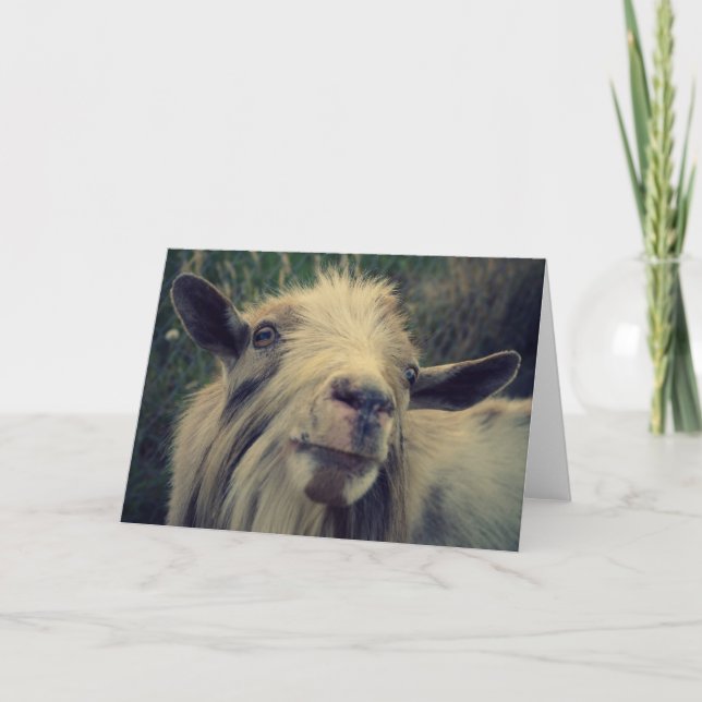 Mr. Gotye - Blank Card (Front)