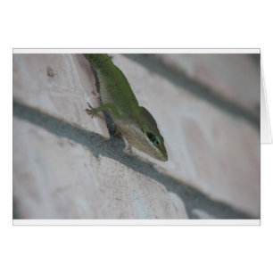 Mr Green Lizard
