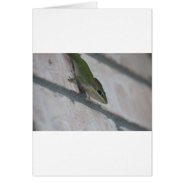 Mr Green Lizard (Front)
