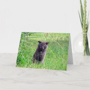 Mr. Grey's Greeting Card