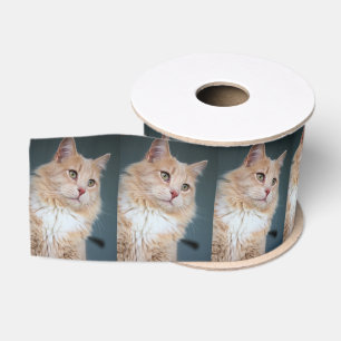Mr. Handsome Grosgrain Ribbon