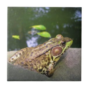 Mr. Jeremy Fisher Tile