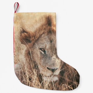 MR LION KING SMALL CHRISTMAS STOCKING