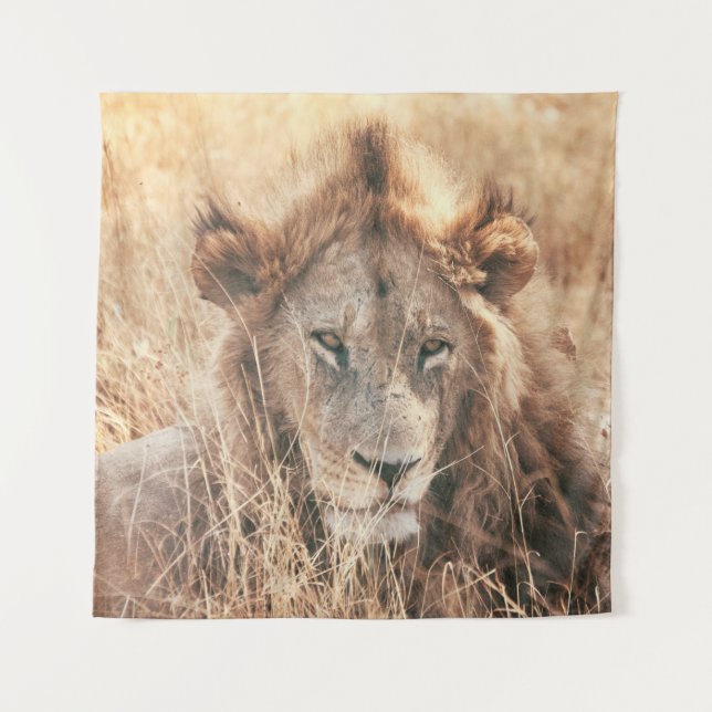 MR LION KING TAPESTRY (Front)