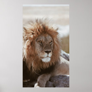 MR LION POSTER