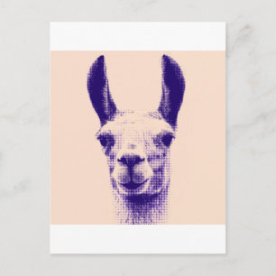 Mr Llama Postcard