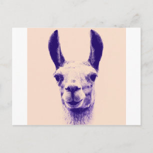 Mr Llama Postcard