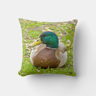 Mr. Mallard the Duck Cushion