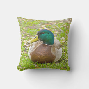 Mr. Mallard the Duck Outdoor Cushion