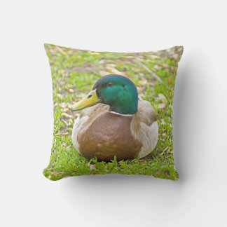 Mr. Mallard the Duck Outdoor Cushion