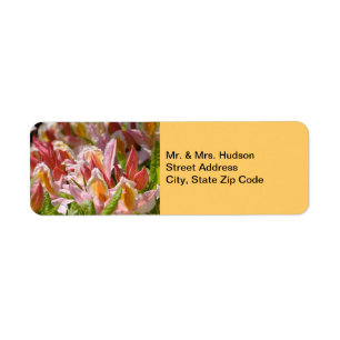 Mr. & Mrs address labels marriage gifts showers