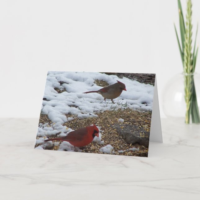 Mr.&Mrs. Cardinal Dining Card (Front)