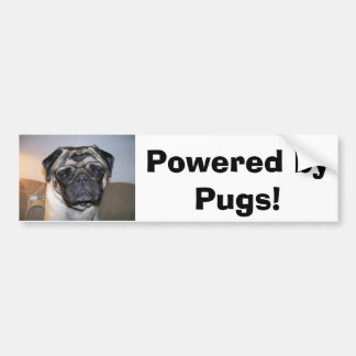 mr nibbles, Powered by Pugs! Bumper Sticker