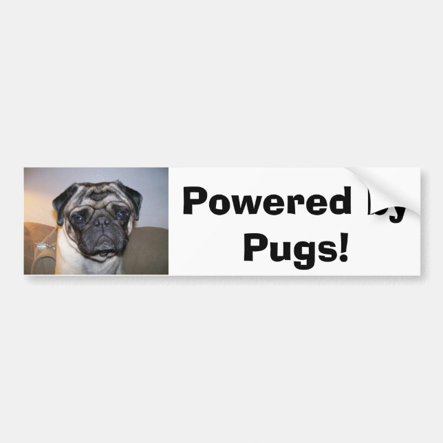 mr nibbles, Powered by Pugs! Bumper Sticker (Front)