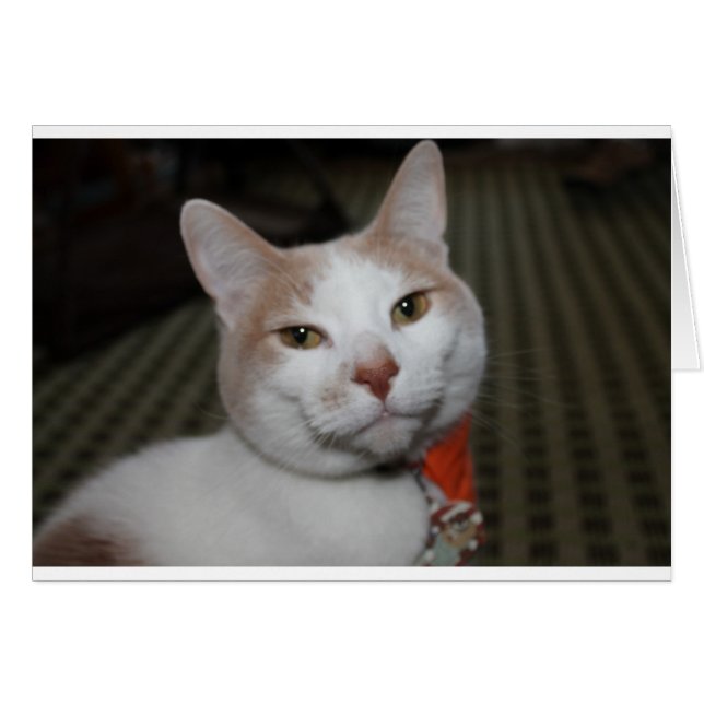 Mr. Peabody! (Front Horizontal)