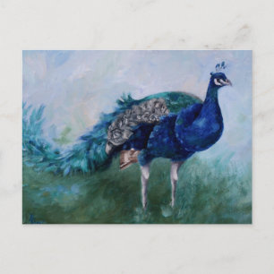 Mr. Peacock Postcard