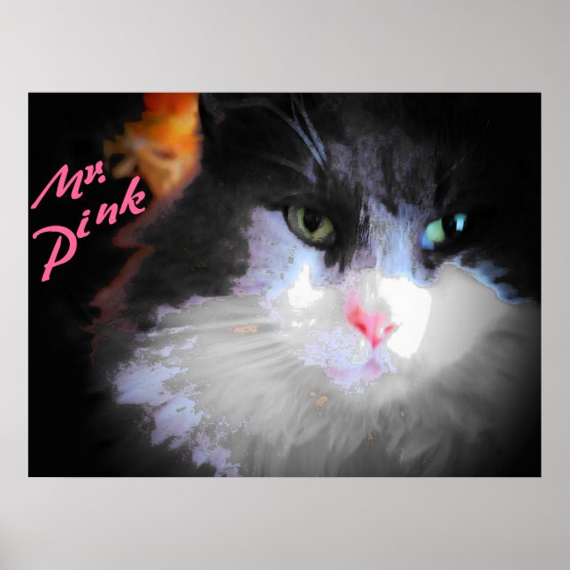 Mr. Pink by djoneill Poster (Front)