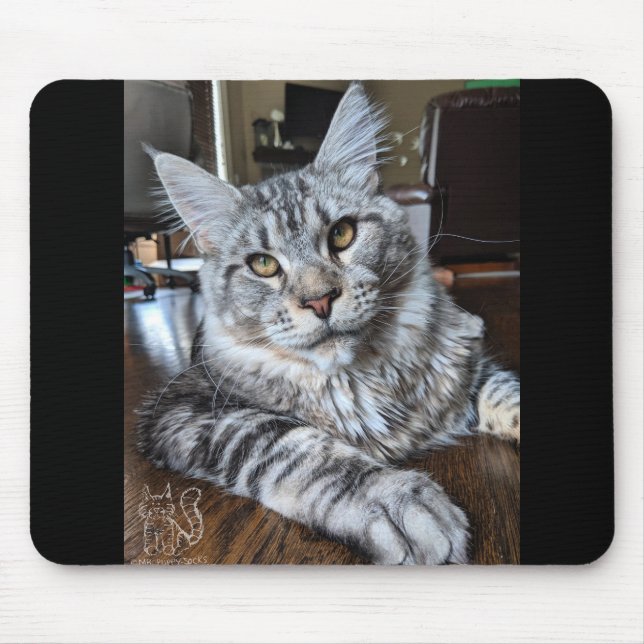 Mr Puppy-Socks Mouse Pad #1 (Front)