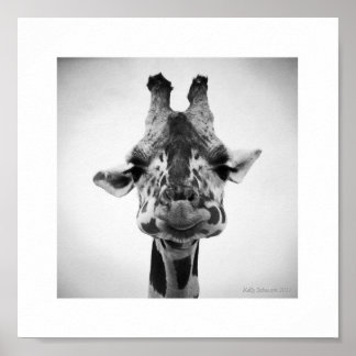 Mr. Serious Giraffe Black and White Photography Poster