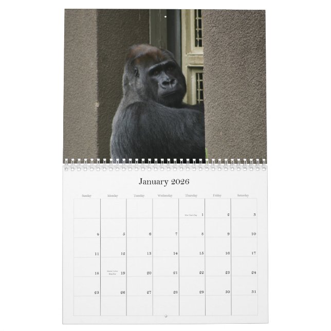 Mr Silverback Calendar (Jan 2026)