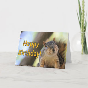 Mr.Squirrel wishing a Happy Birthday Card