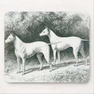 Mr. Vero Shaw's White English Terriers Mouse Pad