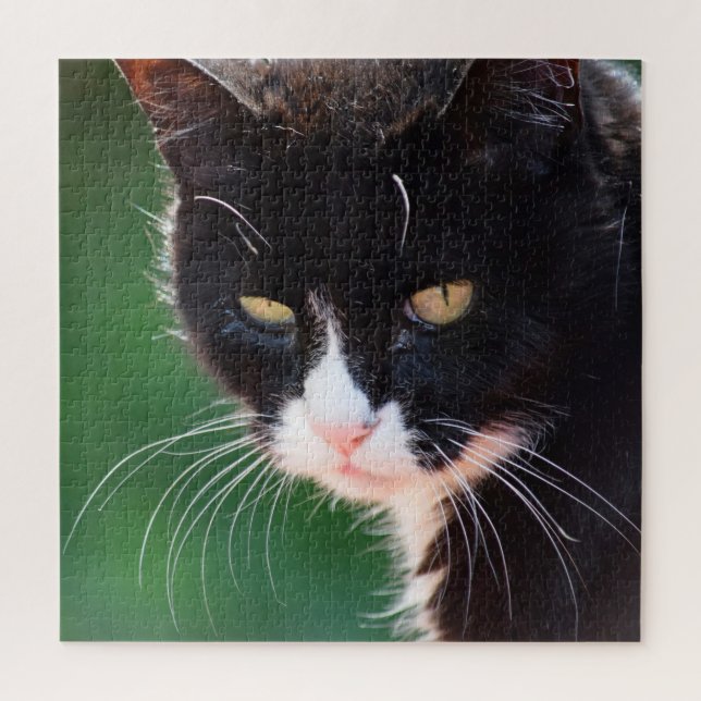 Mr. Whiskers - Cat Jigsaw Puzzle - 20x20 - 676 pc (Vertical)