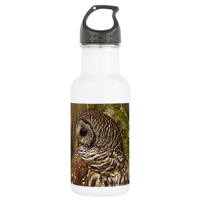 Mrs Barred Owl 532 Ml Water Bottle (Front)